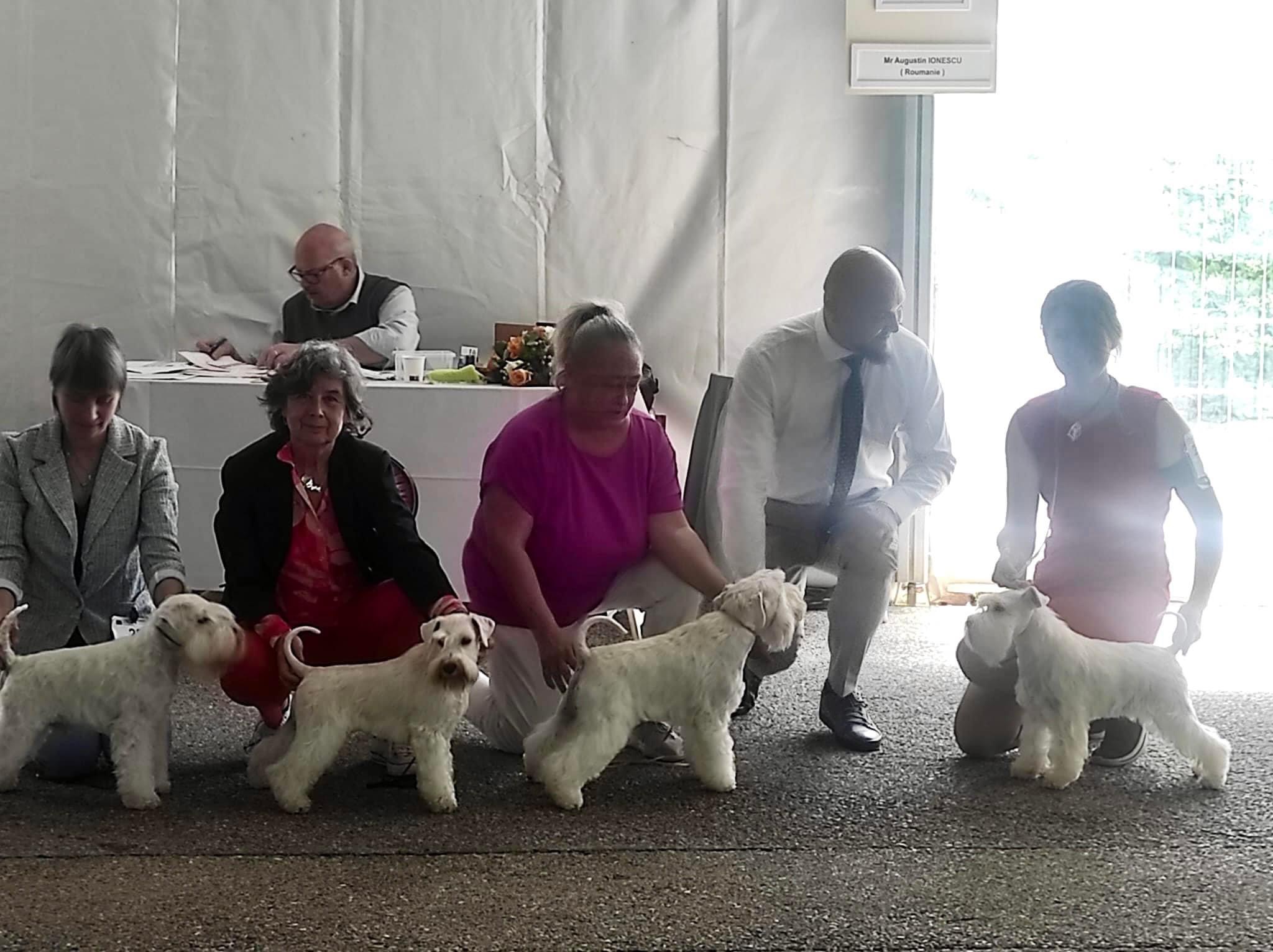 Blaylock Kennel en la exposición de Monte-Carlo