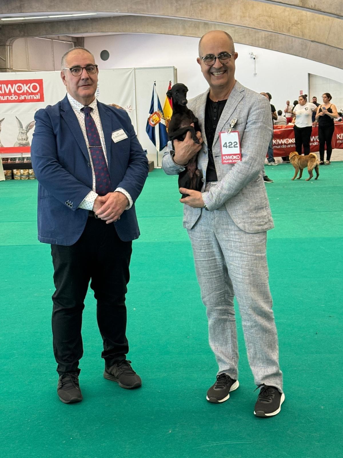 Blaylock Kennel en la exposición internacional de Tenerife, con Íñigo García Monedero