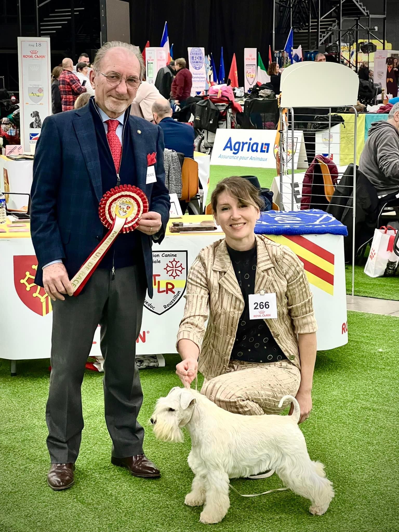 Ch. Blaylock Kennel - Tiki Taka en exposición